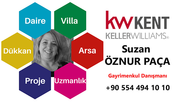 suzan logo-22